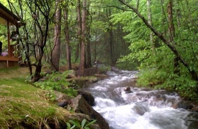 Rushing Waters - ¡A solo pies de Creek!