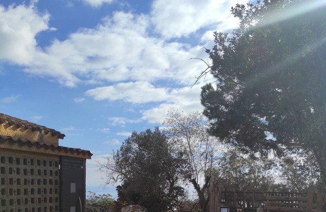 Alojamiento rústico en plena naturaleza con chimenea
