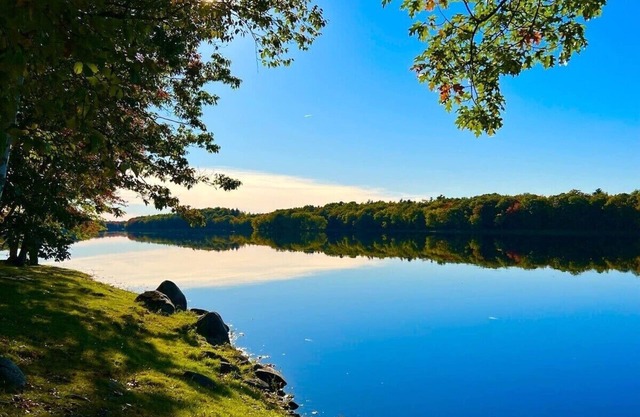 Rustic Cabin on Penobscot River (Pet-Friendly!)
