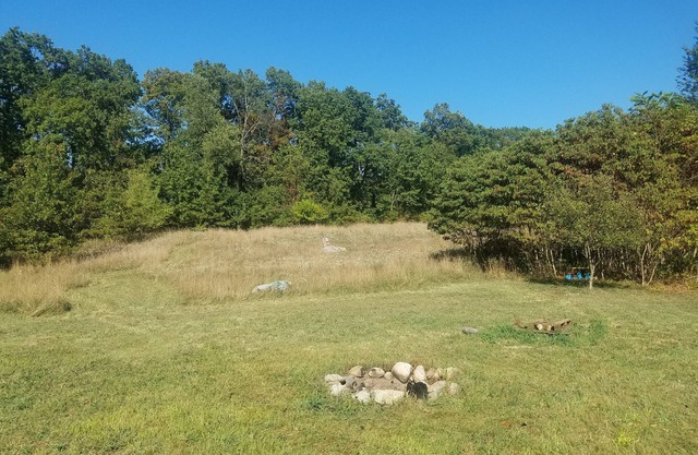 Rustic camping on 20 Acres of woods and millions of stars in Dowagiac, MI.