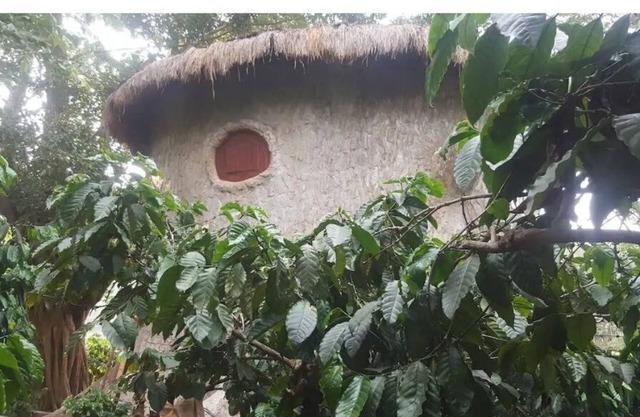 Rustic Charm Wayanad - The Roots (Treetop Suite)