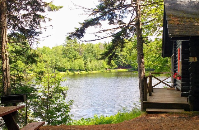 Pet-Friendly totalmente equipada cabaña con vistas al agua en Downeast Maine, 4 plazas