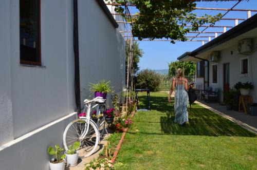 Rustic Tale Guesthouse
