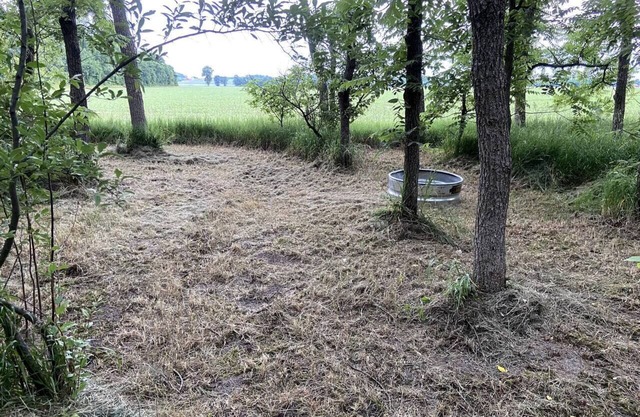 Rustic Tent Campsite #1