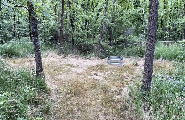 Rustic Tent Campsite #2