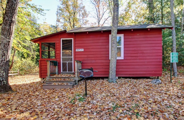 Rustic, Wisconsin Northwoods Cabin. Family & Pet Friendly! Hear the Loons!
