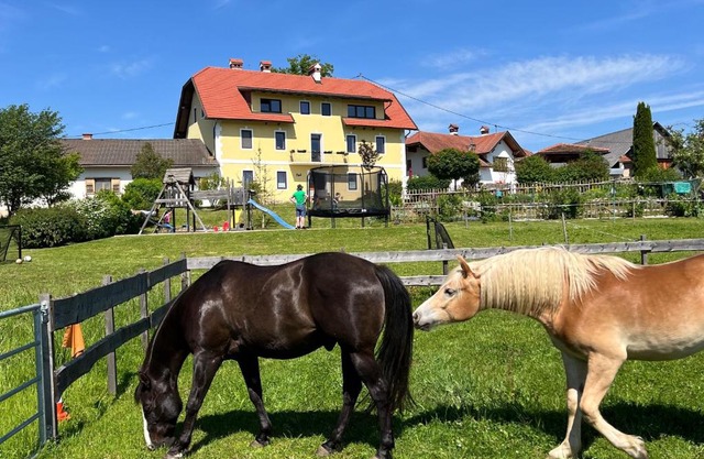 Rutarhof