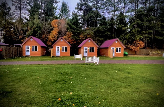 Ruth Lake Resort Cabin # 3