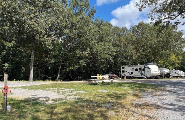 Basic Campsite - Tent Camping