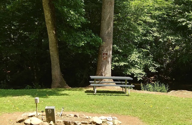 RVing. Camp Out under the stars🌌. Full Hookups.