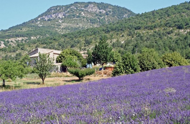 Séjours/ activités sportives en drome provençale