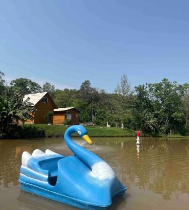 Sítio Recanto Nativo