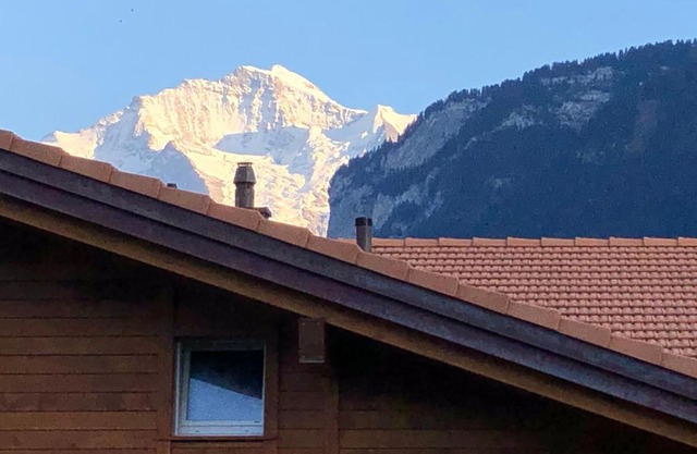 S&P Mountain View Apartment 1