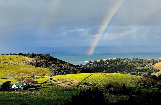 SEDDLEBACK GROVE, Kiama