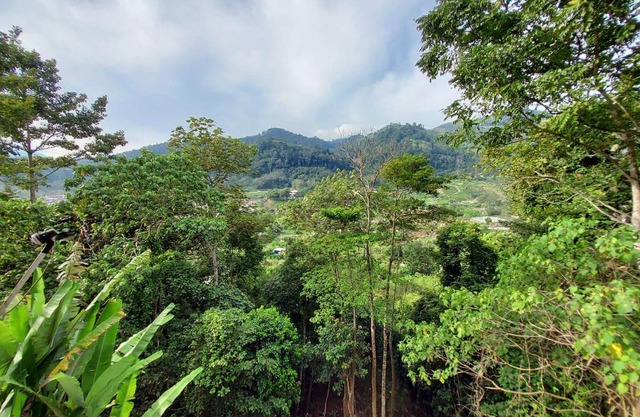 Safar Hillview