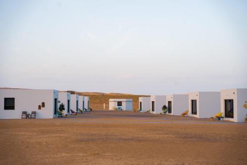 Safari Desert Camp