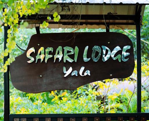 Safari Lodge Yala
