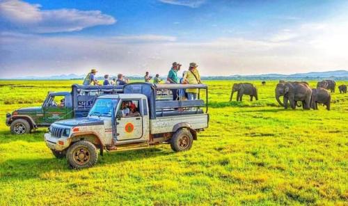 Safari Olee Villa