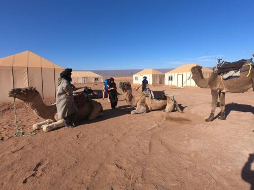 Saharagotravel