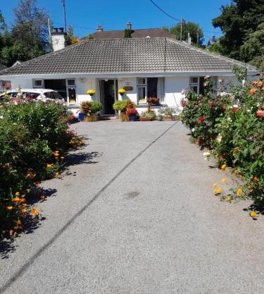 Saint Martin's Bed and Breakfast