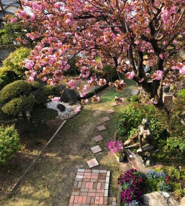 Sakura house