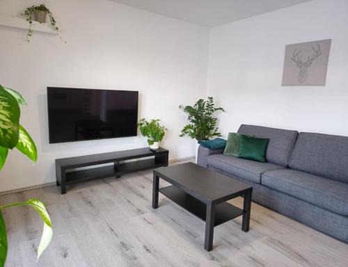 SALAN Apartman NATAL