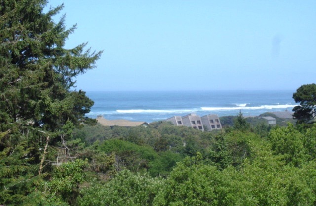 Salishan vista al mar casa con una gran terraza