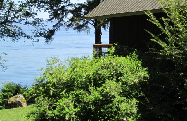 Fachada de agua salada - Vistas espectaculares - Aislado, tranquilo y pacífico
