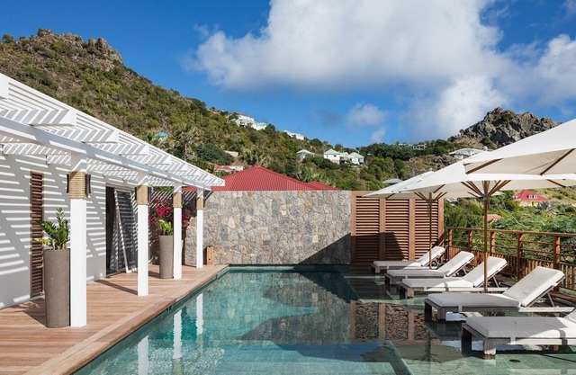 Sam Lion (1/3 Rooms) Luxury villa