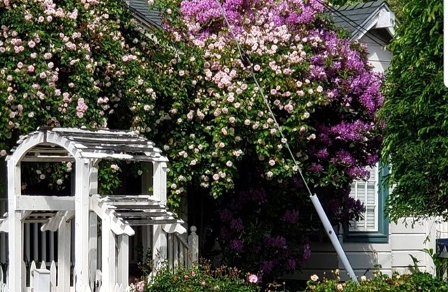 San Francisco Suburb French farmhouse - great location