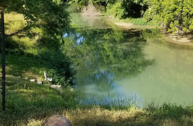 San Marcos River Cabin/ Property - Fentress , - on the river