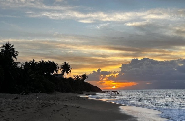 Sands Beachfront Tropical Beach & Pool Experience!