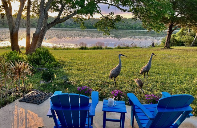 SANDY LAKES FARM - 40+ acre private retreat on Sandy Lake