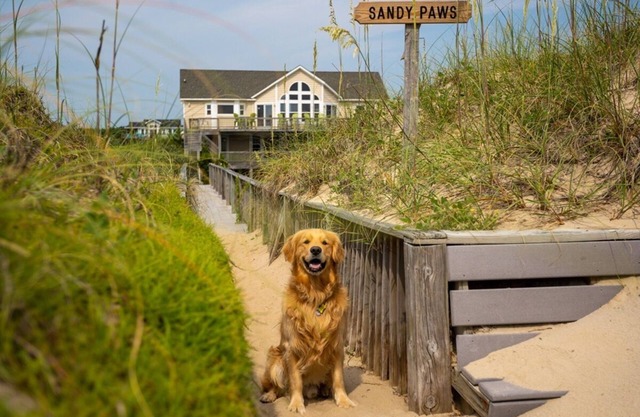 SANDY PAWS: FREE POOL HEAT for open fall weeks! OCEANFRONT- Elevator-4x4
