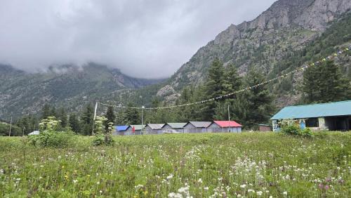 Sangla Valley Camping