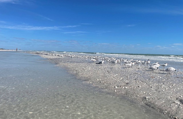 Sanibel Retreat: Splendid Home with Heated Pool & Easy Bike Access to Beach!