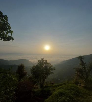 sanjivani buti organic krisi farm & resort