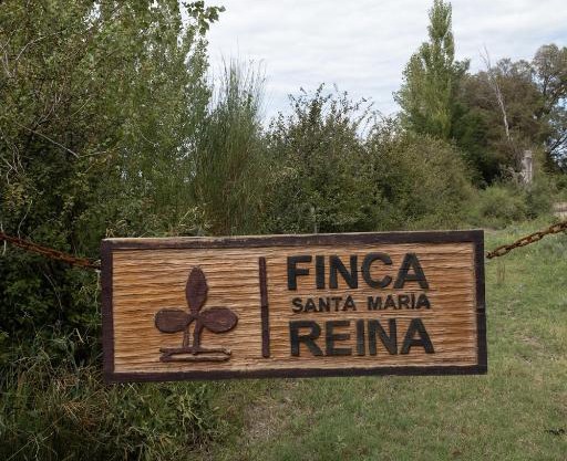 SANTA MARIA REINA
