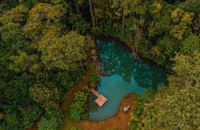 Santuario de Ranas Is located only 35 minutes from La Fortuna town