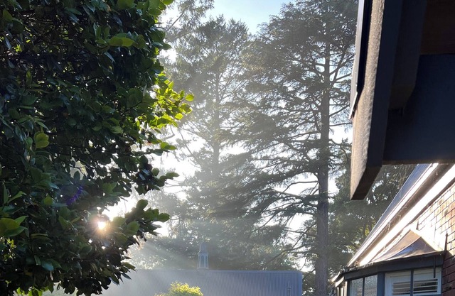 Sassafras guest house