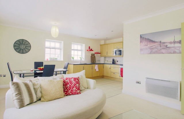 Satrview Apartment 101