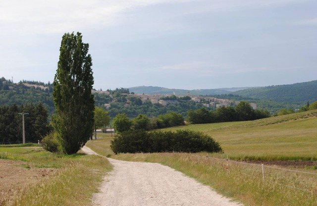 Sault Cottage en el campo