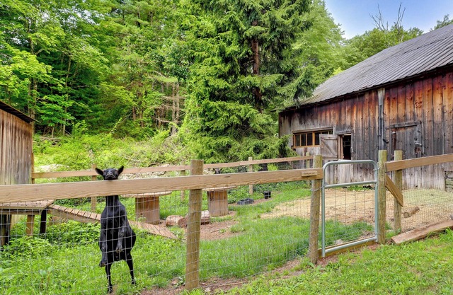 Saylorsburg Home w/ Fire Pit & Hiking Trail Access