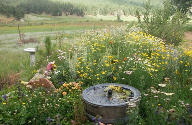 Casa de montaña a medida escénica en Elk Meadow