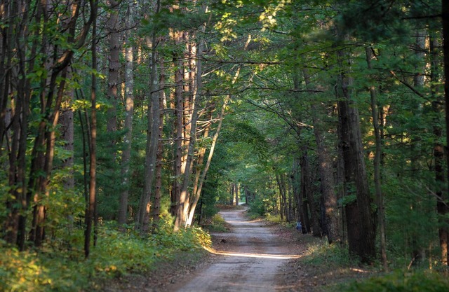 Scenic Drive Resort - Cabin #7