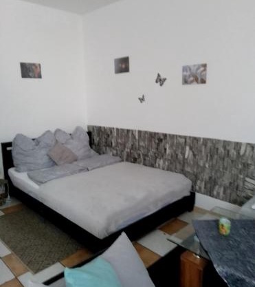 Schöne Studiowohnung, renoviert, zentrale Lage