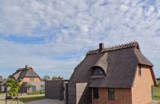 Schilfinsel das Atelierhaus Unter Reet für bis zu 8 Personen & Wildwiesenblick