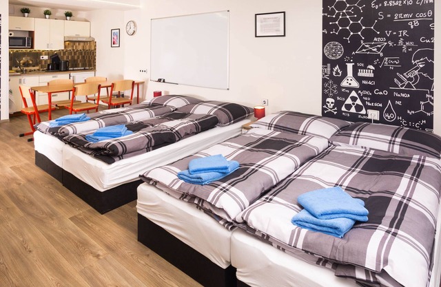 School Apartment by metro stop Vyšehrad