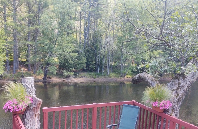 Schroon River Fishing Cabin, Bolton Landing/Warrensburg