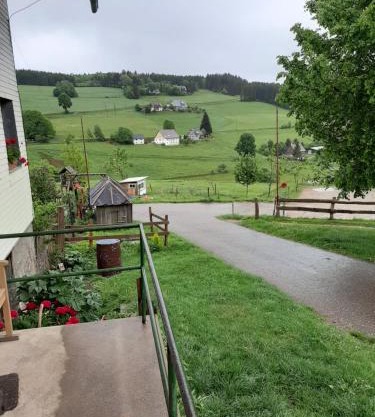 Schwarzwaldblick